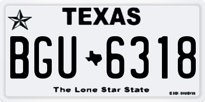 TX license plate BGU6318