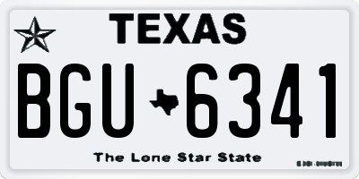 TX license plate BGU6341