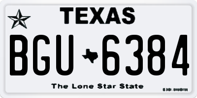 TX license plate BGU6384