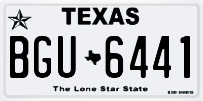 TX license plate BGU6441