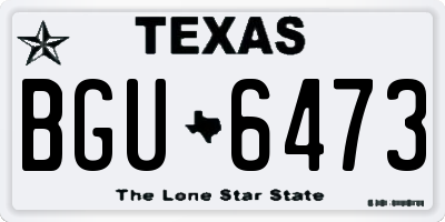 TX license plate BGU6473
