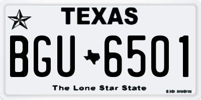 TX license plate BGU6501