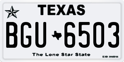 TX license plate BGU6503