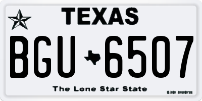 TX license plate BGU6507
