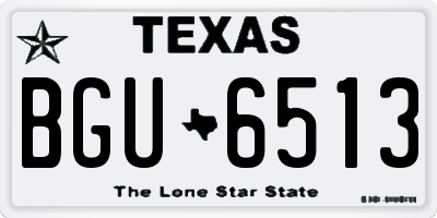 TX license plate BGU6513