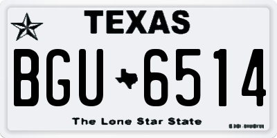 TX license plate BGU6514
