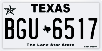 TX license plate BGU6517
