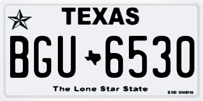 TX license plate BGU6530