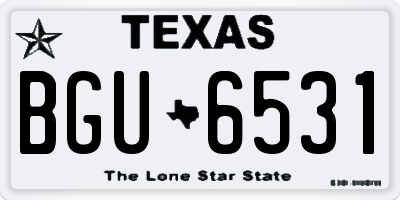 TX license plate BGU6531