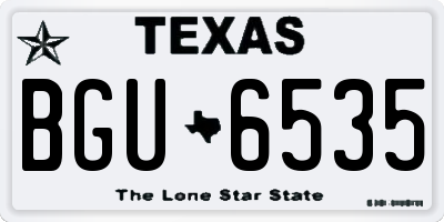 TX license plate BGU6535