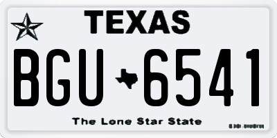 TX license plate BGU6541
