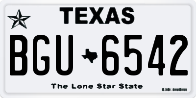 TX license plate BGU6542
