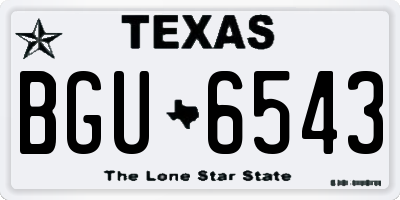 TX license plate BGU6543