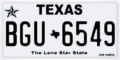 TX license plate BGU6549