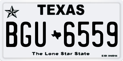 TX license plate BGU6559
