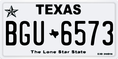 TX license plate BGU6573