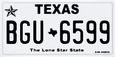 TX license plate BGU6599