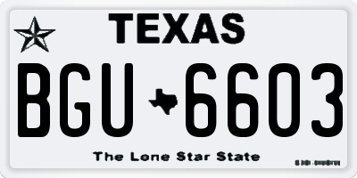 TX license plate BGU6603