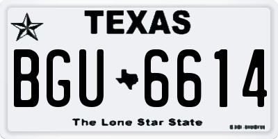 TX license plate BGU6614