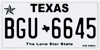 TX license plate BGU6645