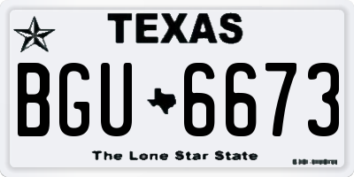 TX license plate BGU6673