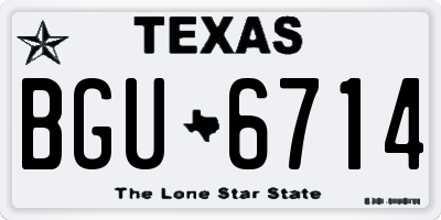 TX license plate BGU6714