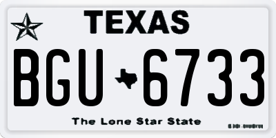 TX license plate BGU6733