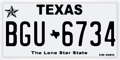 TX license plate BGU6734