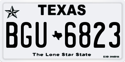 TX license plate BGU6823