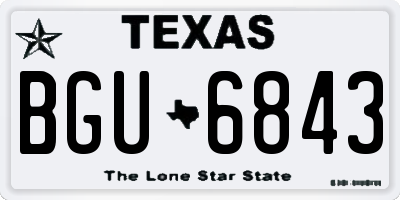 TX license plate BGU6843