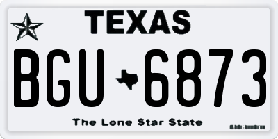 TX license plate BGU6873