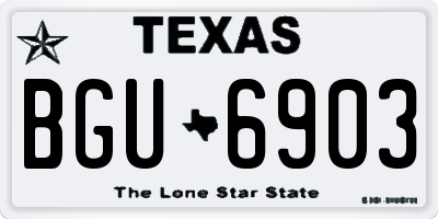 TX license plate BGU6903