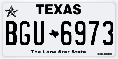 TX license plate BGU6973