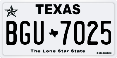 TX license plate BGU7025