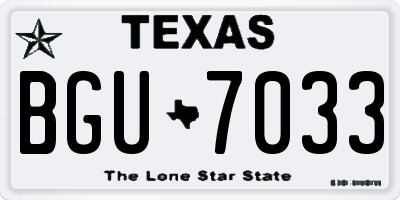 TX license plate BGU7033