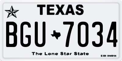 TX license plate BGU7034