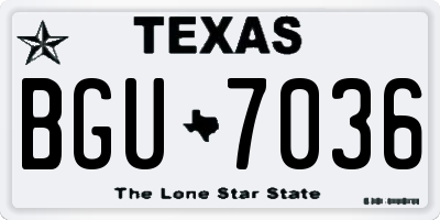 TX license plate BGU7036