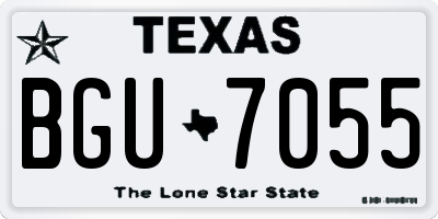 TX license plate BGU7055