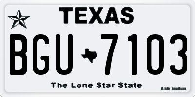 TX license plate BGU7103