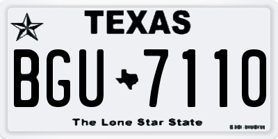 TX license plate BGU7110