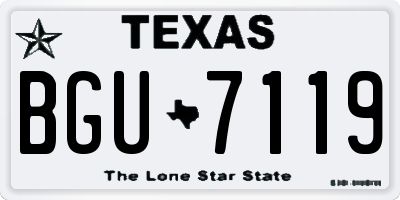 TX license plate BGU7119