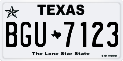 TX license plate BGU7123