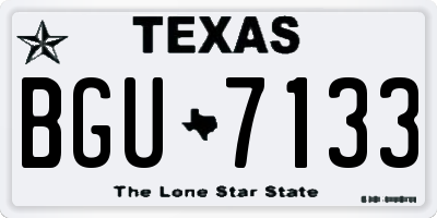 TX license plate BGU7133
