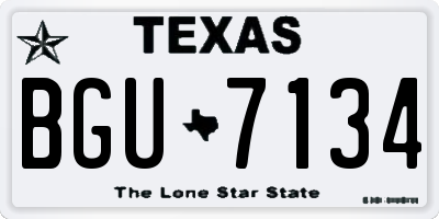 TX license plate BGU7134