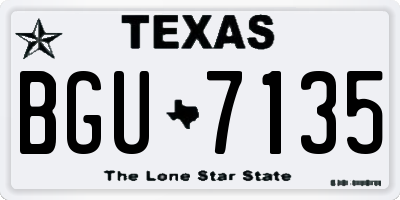 TX license plate BGU7135