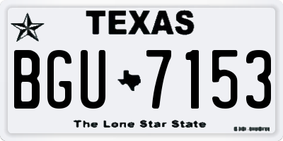 TX license plate BGU7153