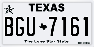 TX license plate BGU7161