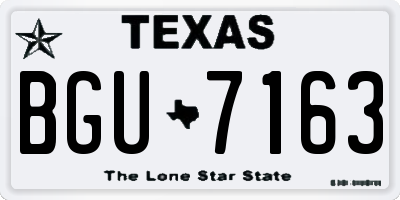 TX license plate BGU7163