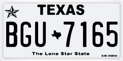 TX license plate BGU7165