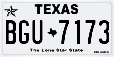 TX license plate BGU7173